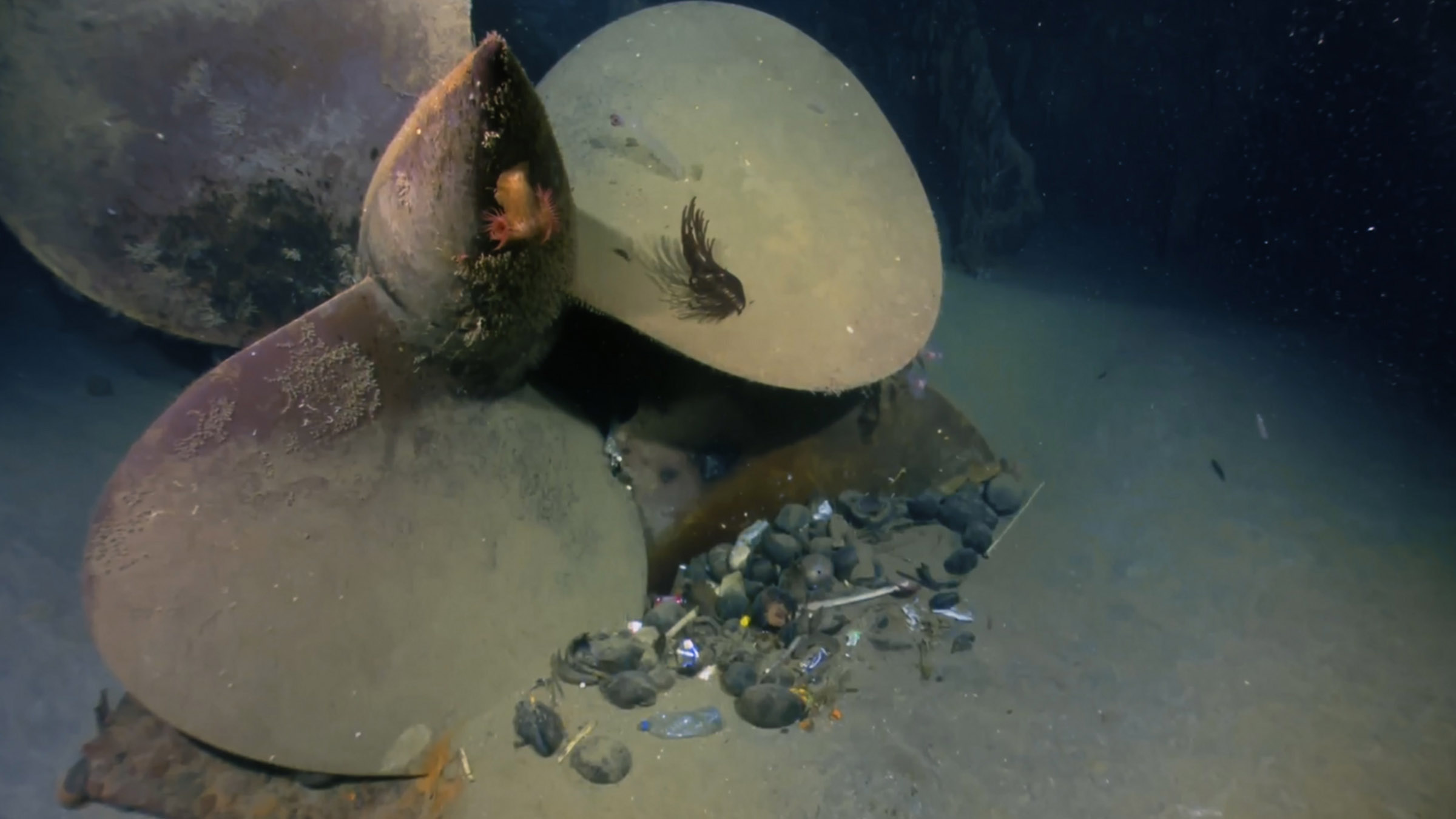 When research vessel Petrel picks up what they believe to be the debris trail of the USS... [Photo of the day - July 2025]