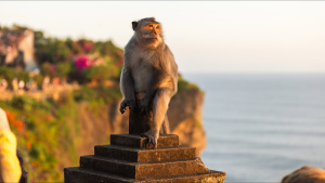 As tourists watch the sunset,... [Photo of the day - 31 AUGUST 2025]