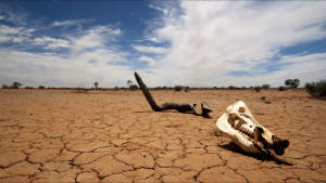 In the endless heat, Phil encounters... [Photo of the day -  5 SEPTEMBER 2025]