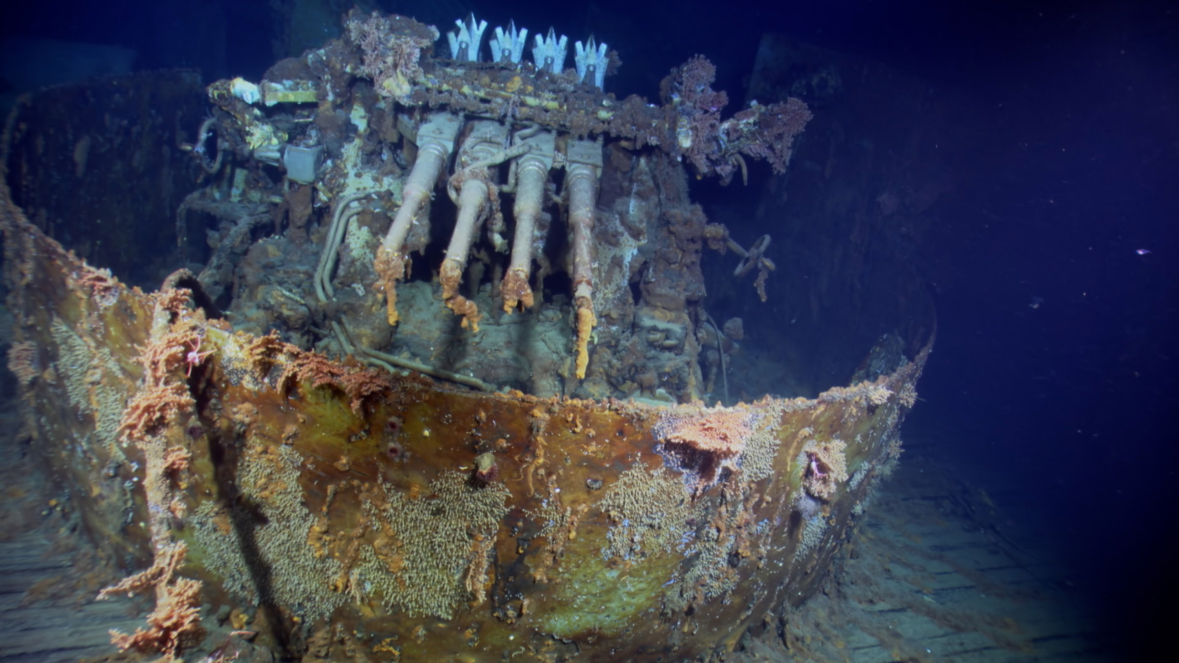 In one night, over 1000 Allied sailors died when four cruisers went down in flames. They rest in... [Photo of the day - September 2025]