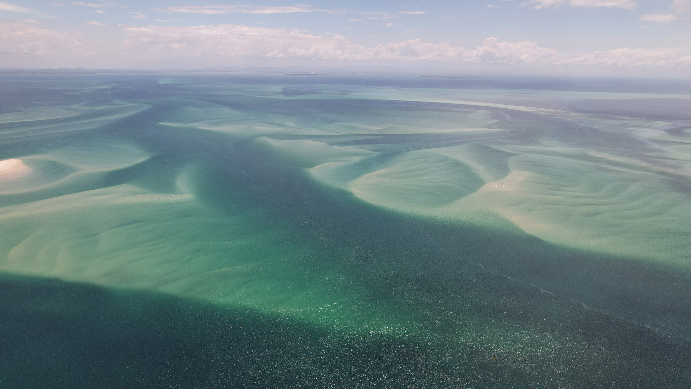Phil Breslin heads along the coast for an encounter with a white bellied sea eagle, a sting ray... [Photo of the day - September 2025]