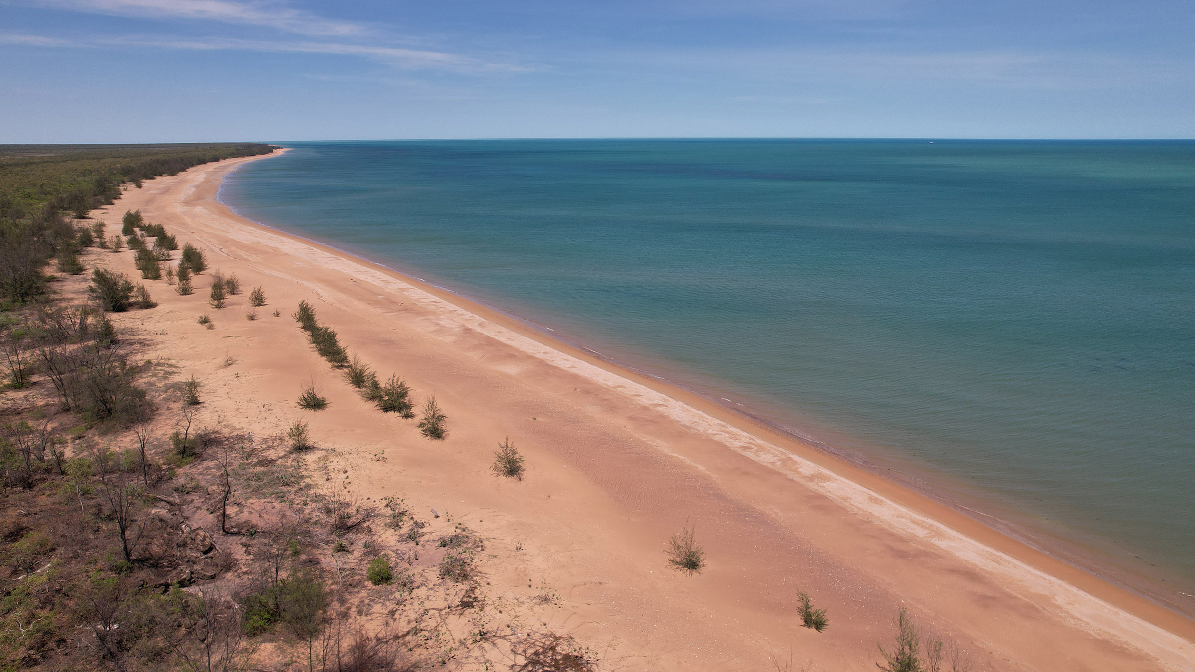 Phil Breslin leaves the mainland for some island hopping and encounters a green sea turtle, a... [Photo of the day - October 2025]