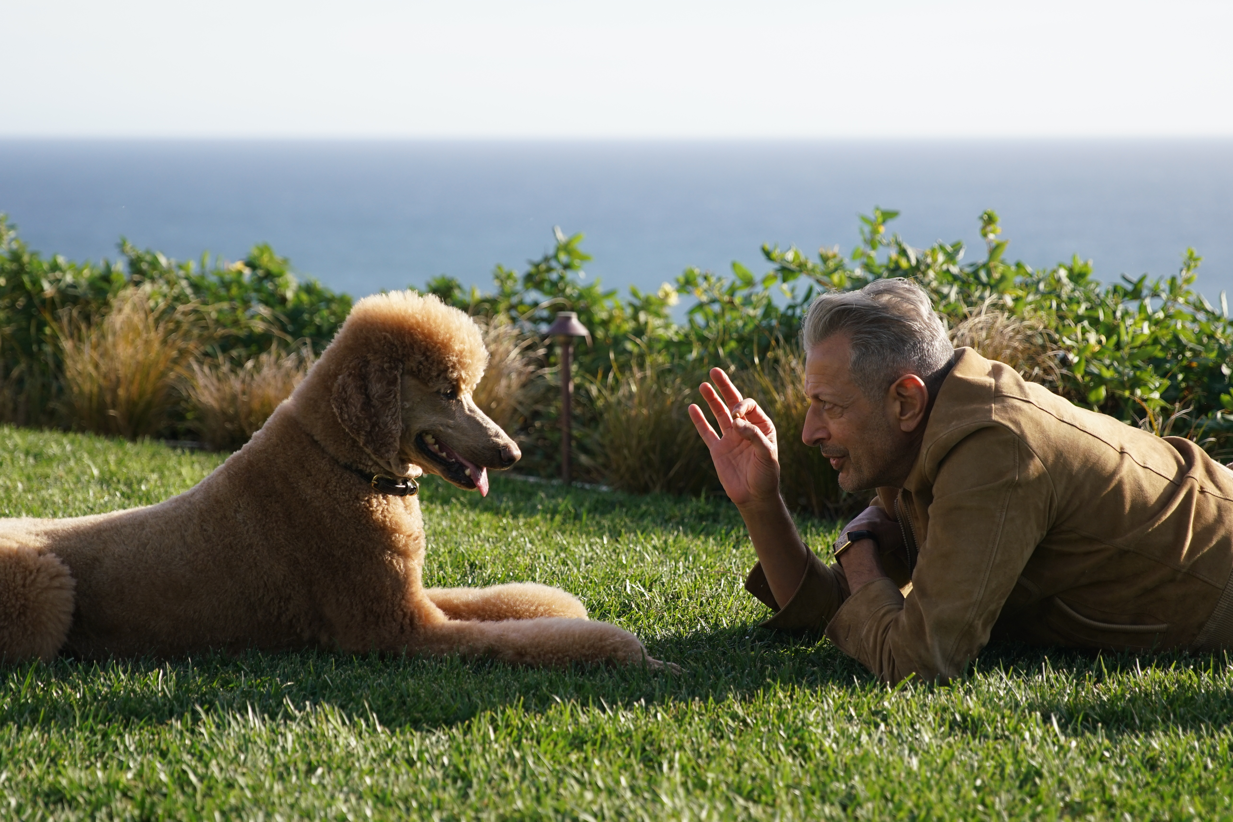 Jeff Goldblum with his dog, Woody. [Photo of the day - January 2026]