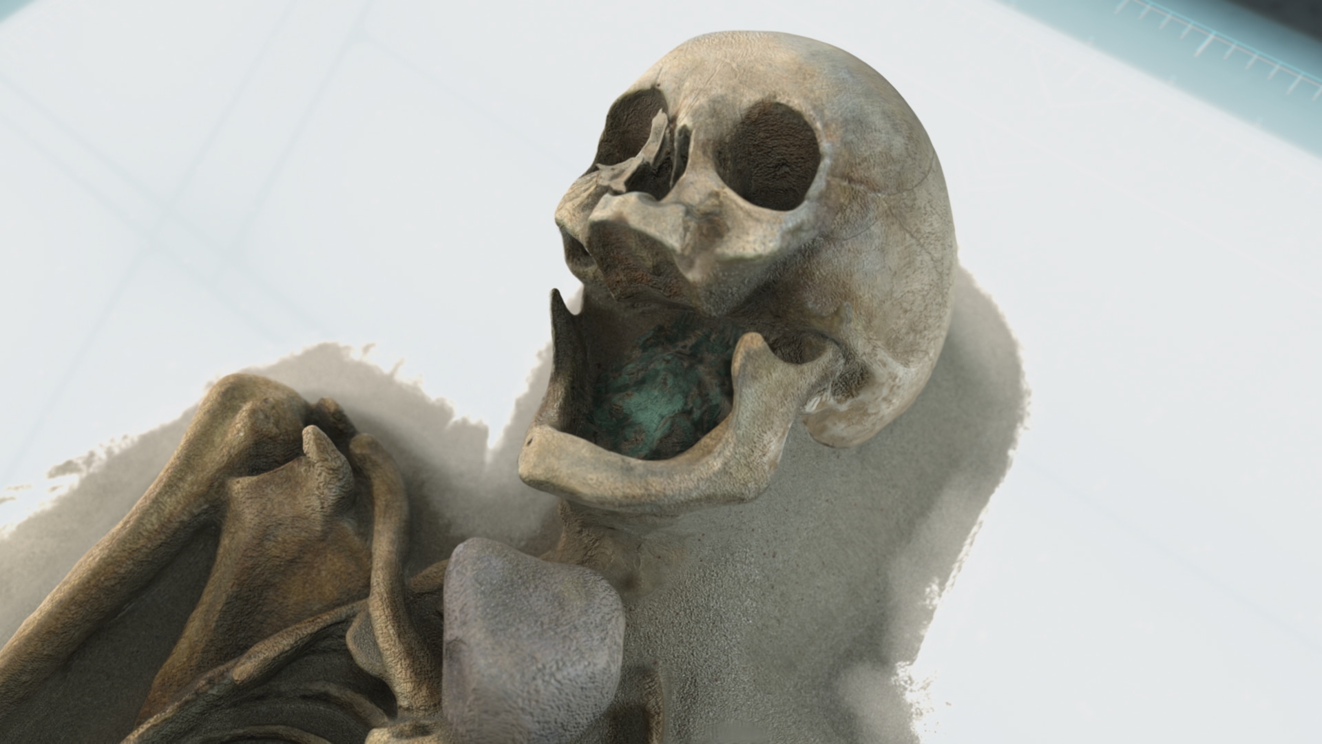 The toothless skull of the skeleton of Dravsko with a green mouth and rock on his throat. [Photo of the day - January 2026]