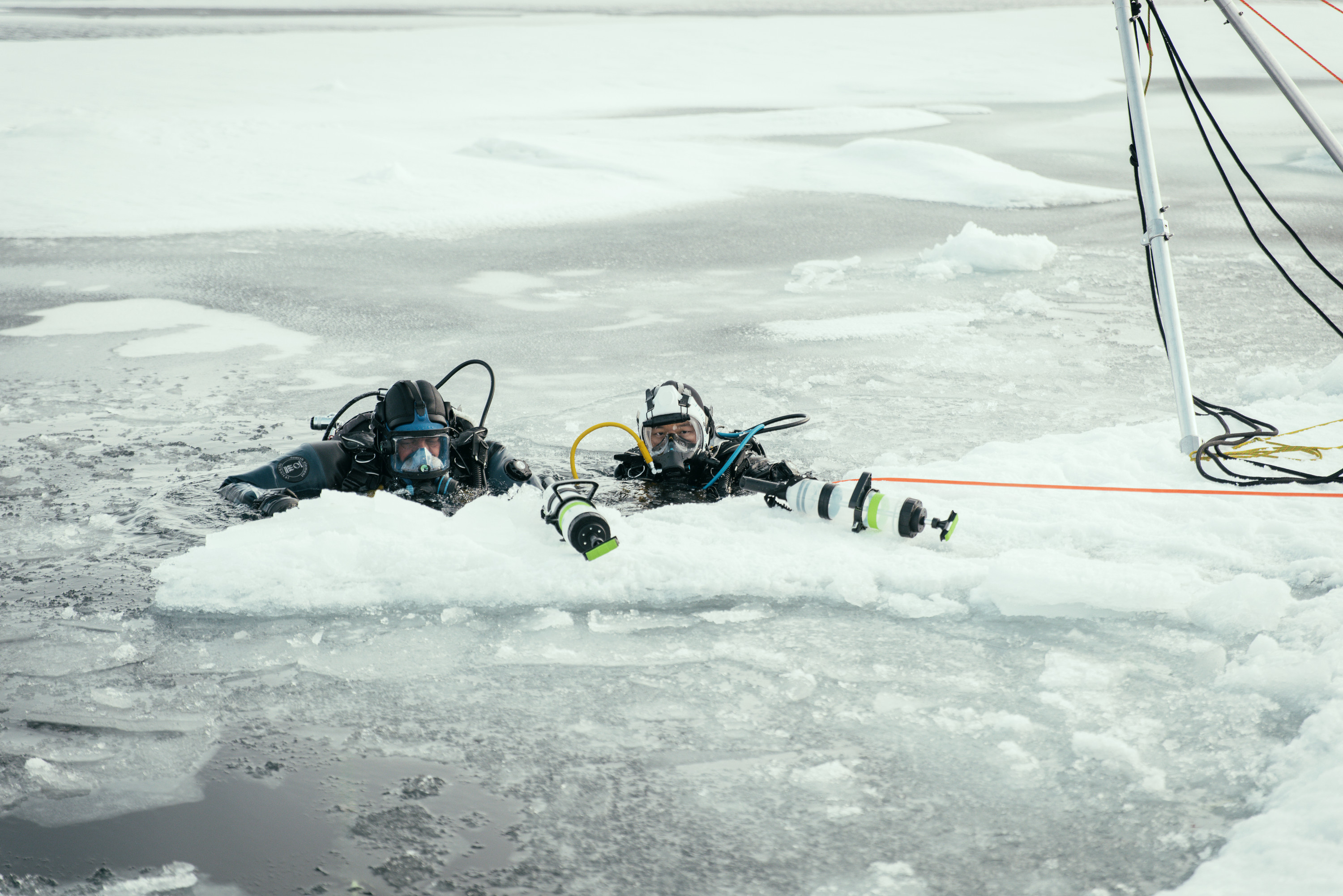 Will Smith, left, and Polar Ecologist Dr. Allison Fong dive under the ice in the North Pole to... [Photo of the day - January 2026]