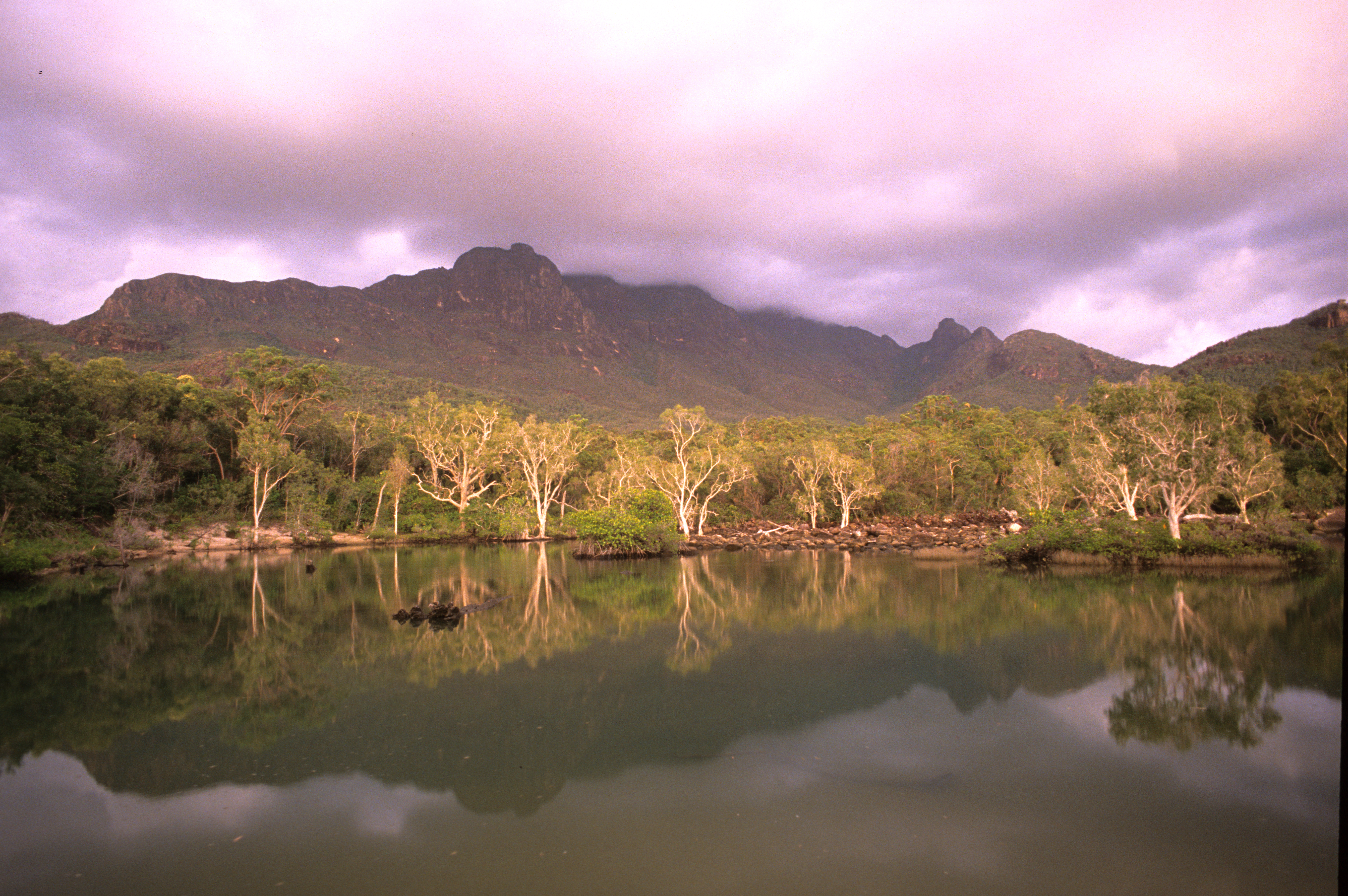 Woodlands extend to the coast in Northern Australia. [Photo of the day - January 2026]