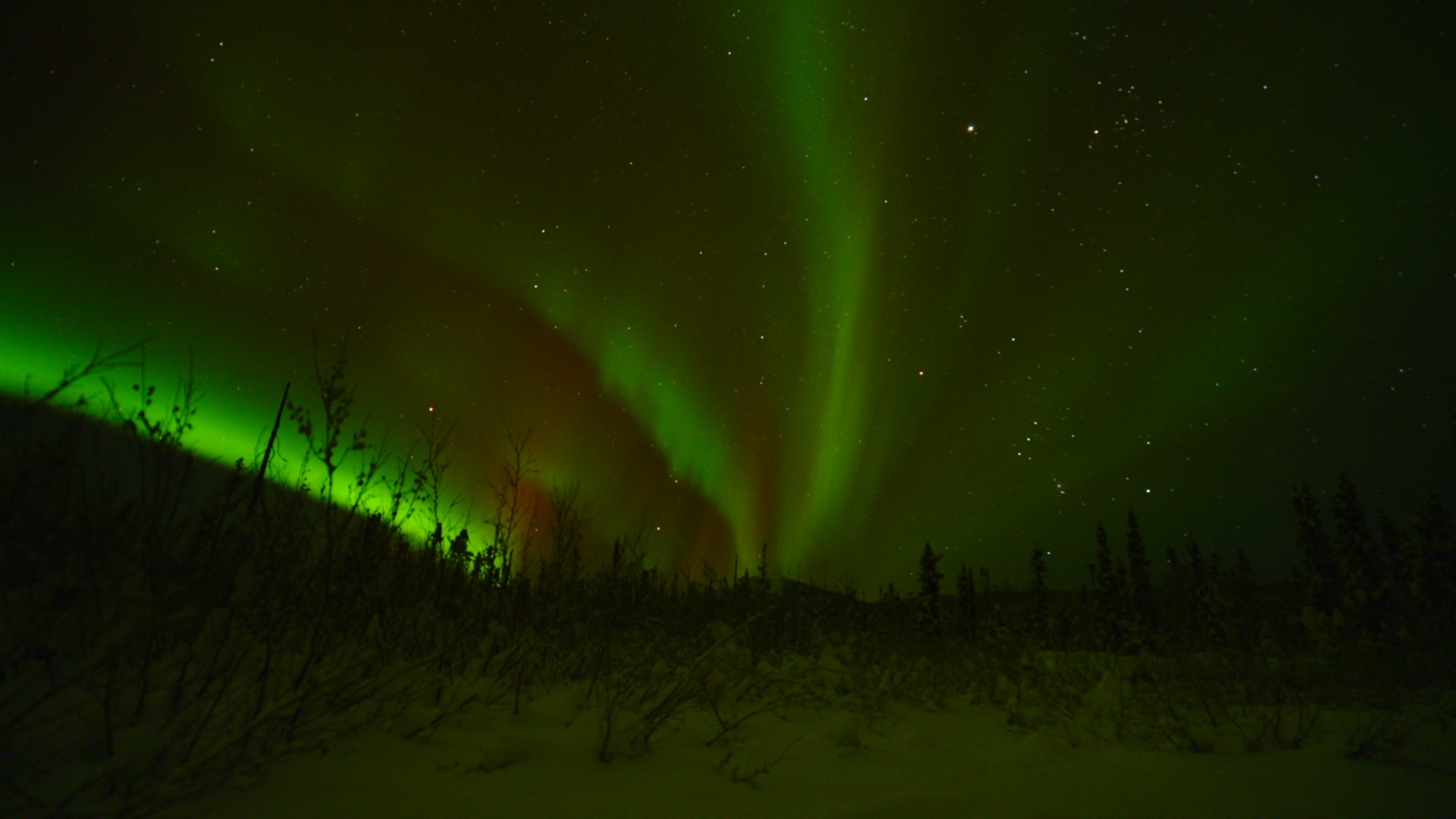 Landscape shot of the Northern Lights. [Photo of the day - February 2026]