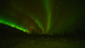 Landscape shot of the Northern Lights. [Photo of the day -  2 FEBRUARY 2026]