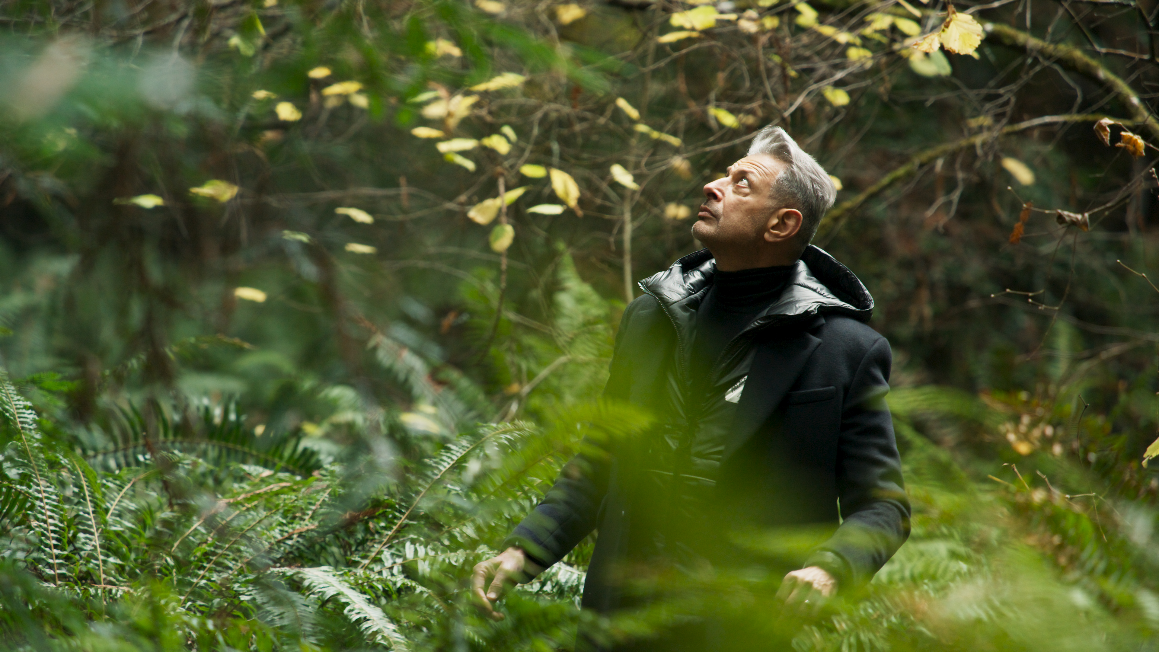Jeff Goldblum walking in woods.  [Photo of the day - February 2026]