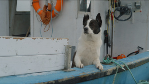 Ronnie on the fishing boat. [Photo of the day - 15 FEBRUARY 2026]