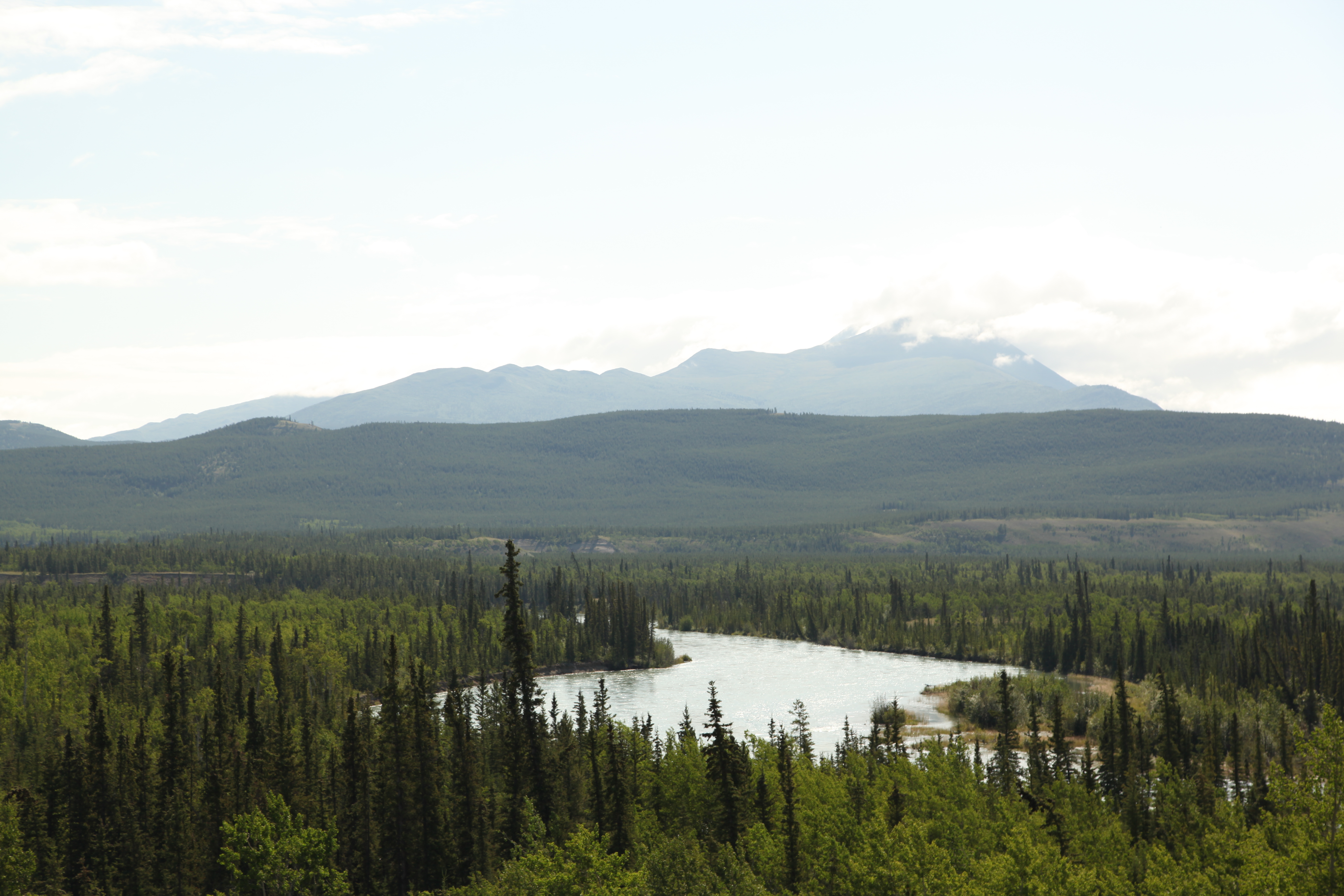 A scenic view of forestry with mountains in the distant background. [Photo of the day - February 2026]