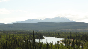 A scenic view of forestry with... [Photo of the day - 17 FEBRUARY 2026]