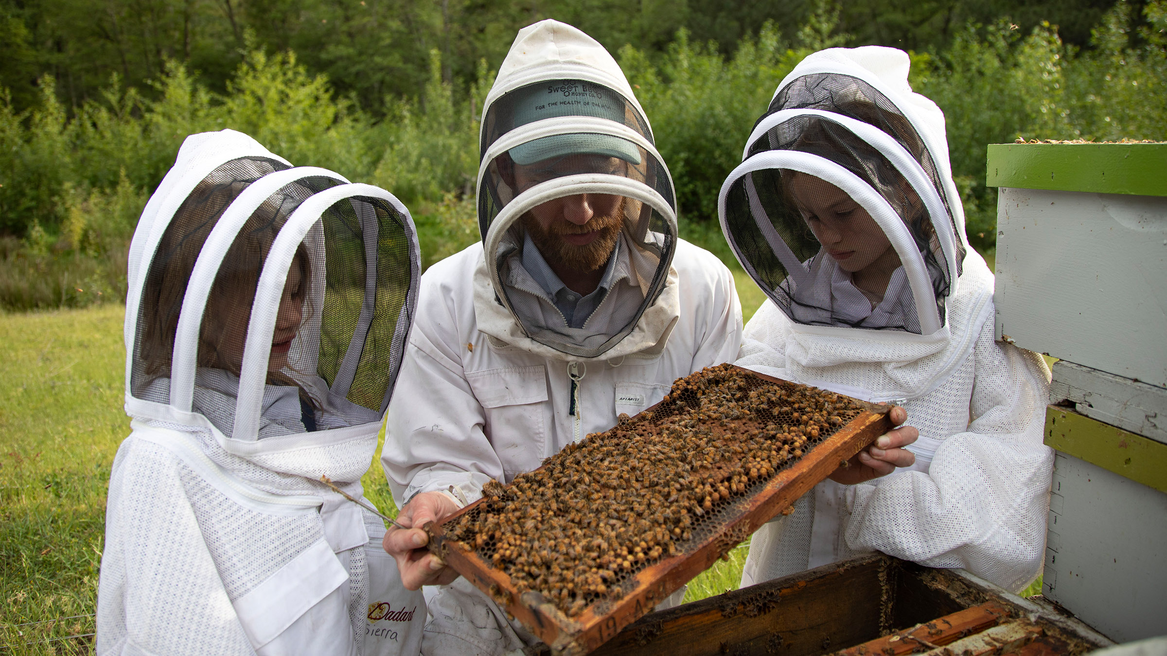 Ryan Lieuallen, owner of Sweet Bee Company, center, and daughter's, Sierra Lieuallen, left and... [Photo of the day - April 2026]