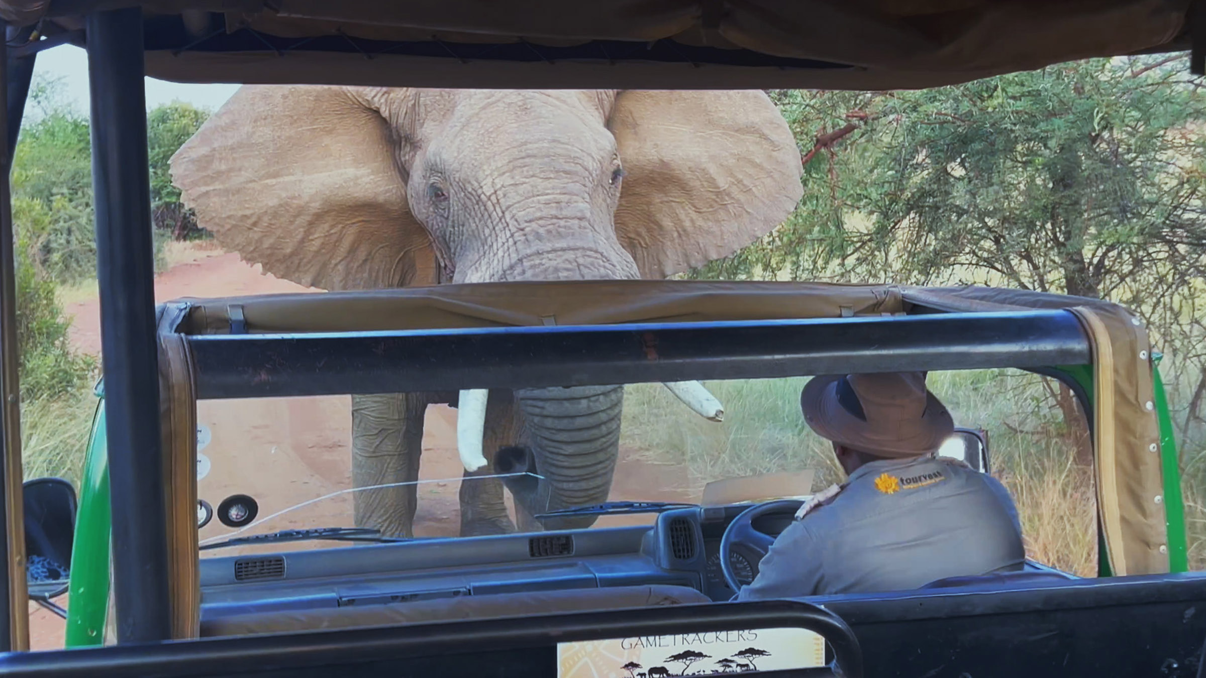 An angry elephant goes head to head with a safari truck. Image from Close Encounters of The Wild... [Photo of the day - June 2026]