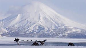 Kamchatka photo