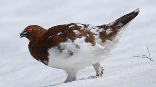 207