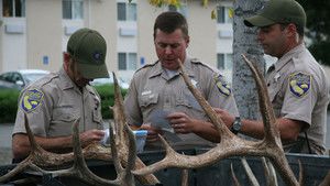 Wild Justice photo