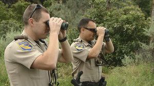 Wild Justice photo