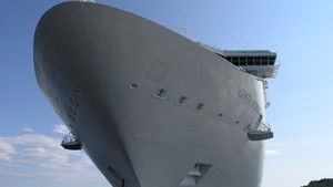 Mega Cruise Ship Diaries photo