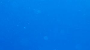 James Cameron: Voyage to the Bottom of the Earth photo