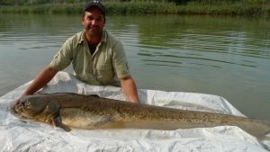 Monster Fish photo