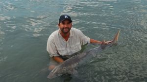 Monster Fish photo