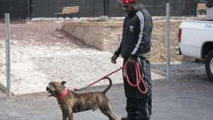 Philly Undercover photo