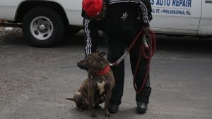 Philly Undercover photo