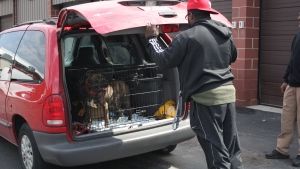 Philly Undercover photo