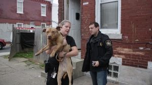 Philly Undercover photo