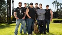 Elite Dog Training