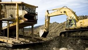 Yukon Gold photo