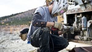 Yukon Gold photo