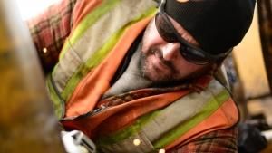 Yukon Gold photo