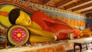 Sri Lanka Wonders photo