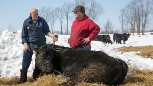 Incredible Vet Adventures photo