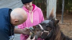 Incredible Vet Adventures photo