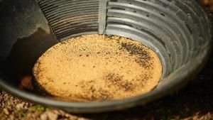 Yukon Gold photo