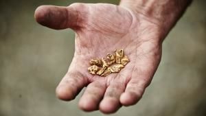 Yukon Gold photo