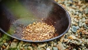 Yukon Gold photo