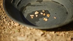 ذهب يوكون صورة
