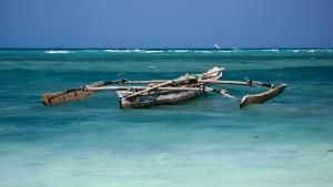 Wild Islands photo