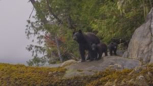 المتنزهات الوطنية الأميركية صورة