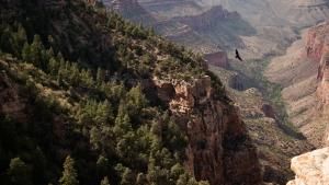 Grand Canyon photo