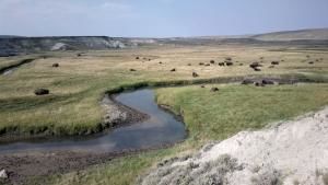 Yellowstone photo
