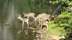 National Parks: USA photo