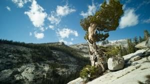 National Parks: USA photo