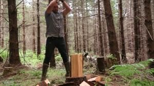 Dirty Rotten Survival photo