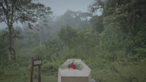 Dian Fossey: Secrets in the Mist photo