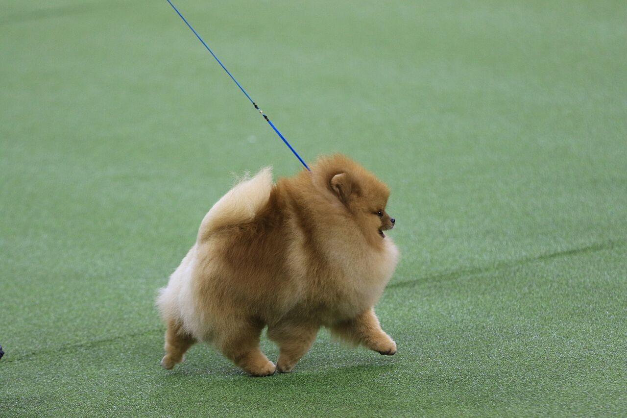 11492